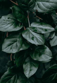 Untitled-design-10_11zon